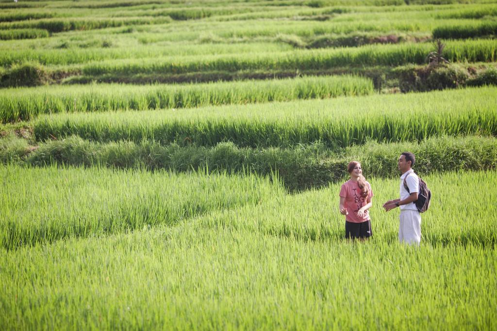 Manyi Village Ubud Exterior photo