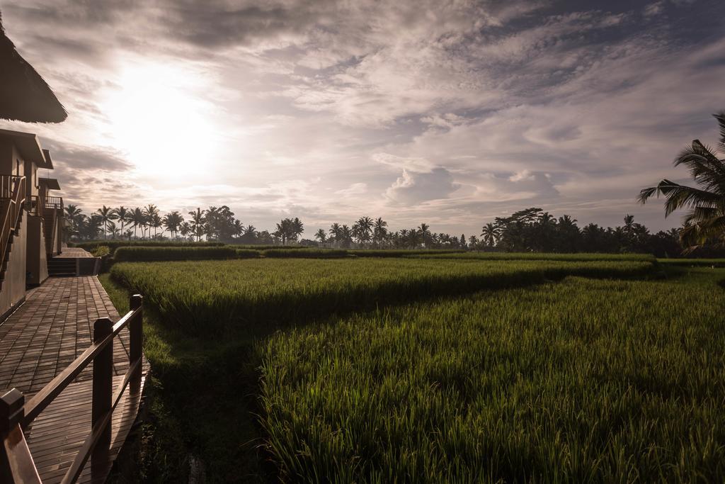 Manyi Village Ubud Exterior photo